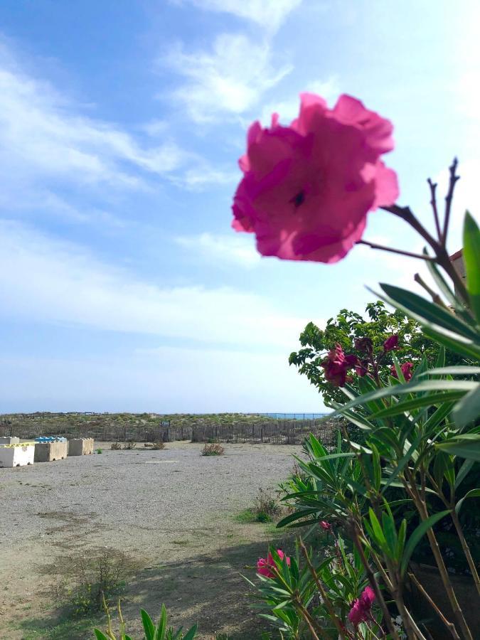 Barcaresa-villa De Louis Piscine Vue Mer, Lydia Et Holiday home Le Barcares